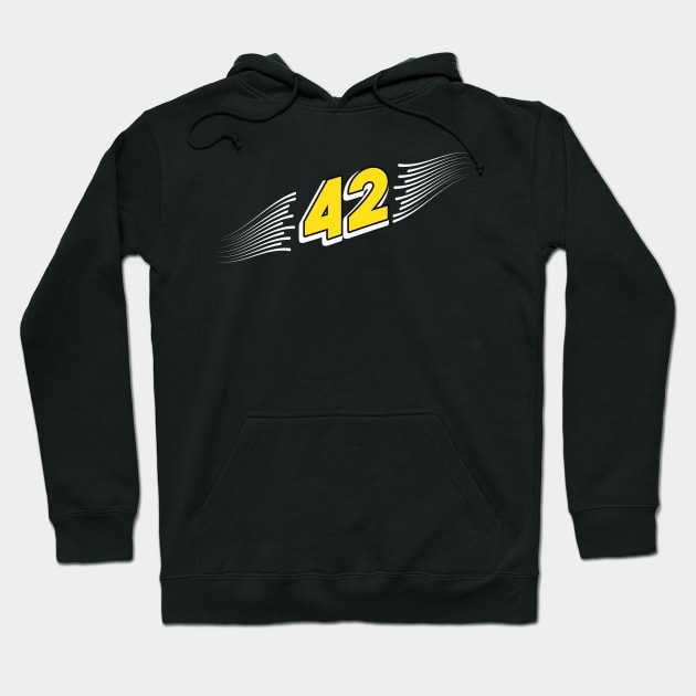 42 The answer to everything Hoodie by Foxxy Merch